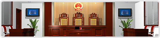 广州庭审全过程代理